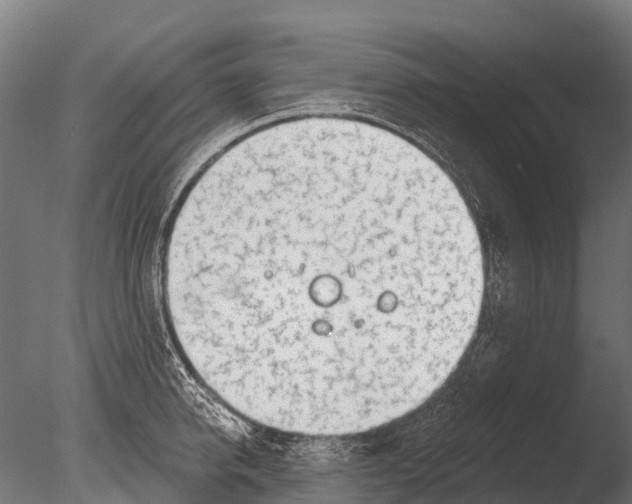 X0000085000950200704021330