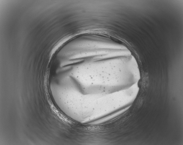 X0000085000952200704021330