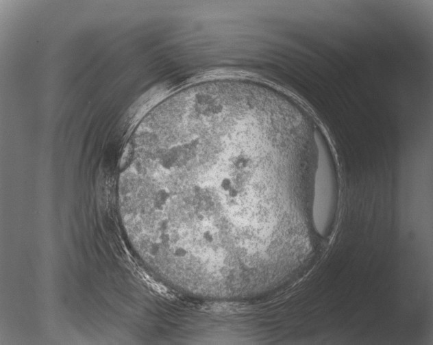 X0000085000953200704021330