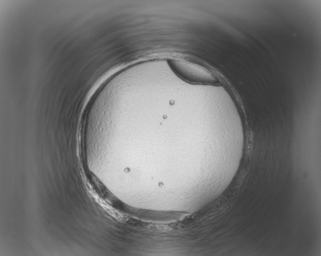 X0000085000955200704021330