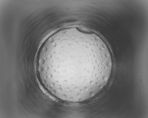 X0000085000957200704021330