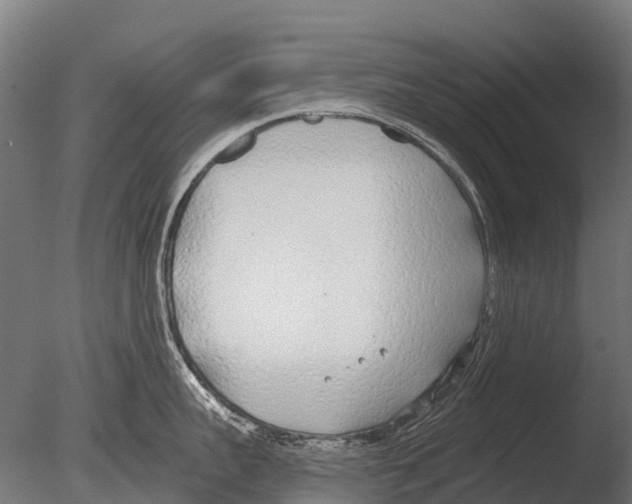 X0000085000959200704021330