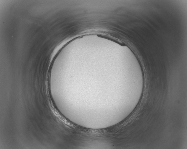 X0000085000960200704021330