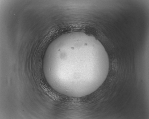 X0000085000961200704021329