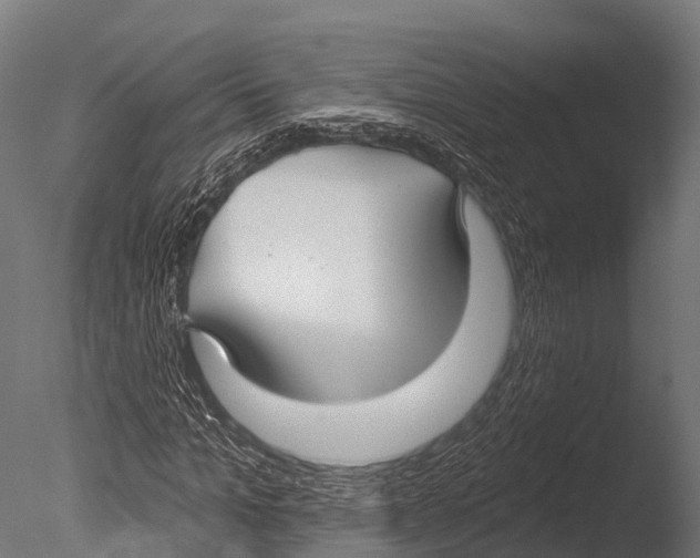 X0000085000965200704021329