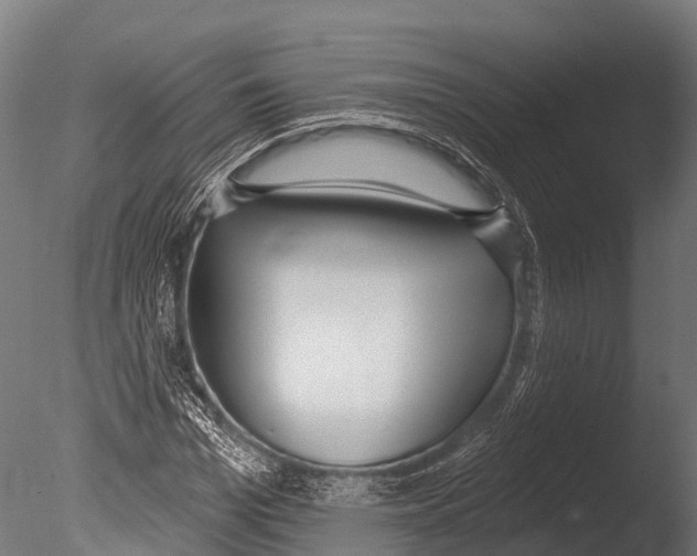 X0000085000969200704021329