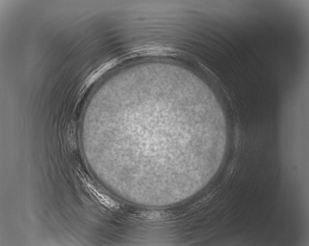 X0000085000970200704021329