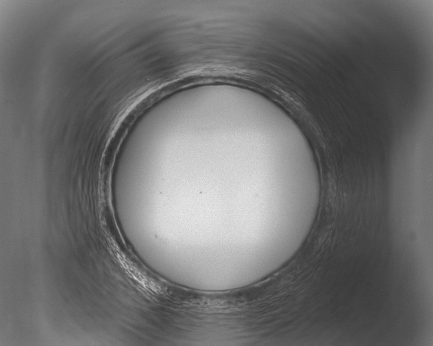 X0000085000976200704021329