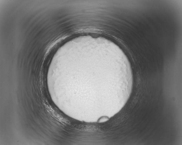 X0000085000979200704021329