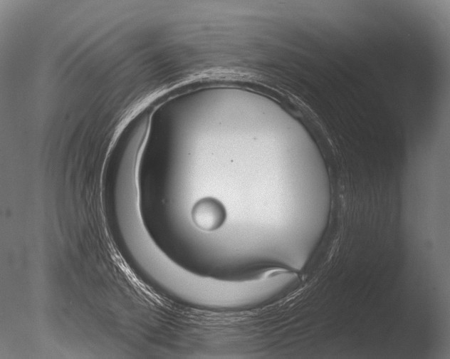 X0000085000981200704021329