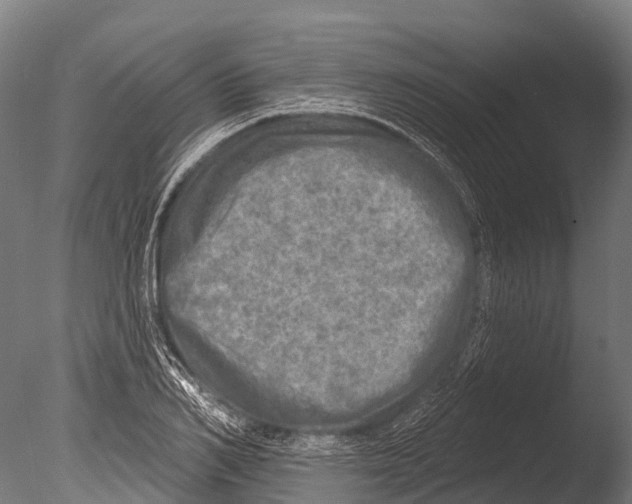 X0000085000982200704021329