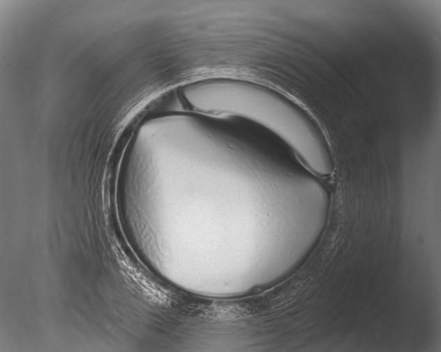 X0000085000983200704021329