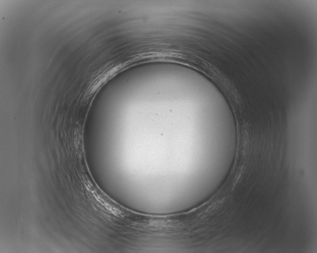 X0000085000985200704021329