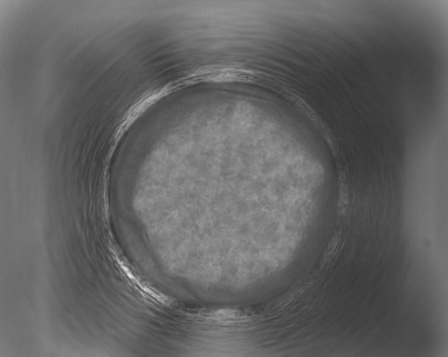 X0000085000986200704021329