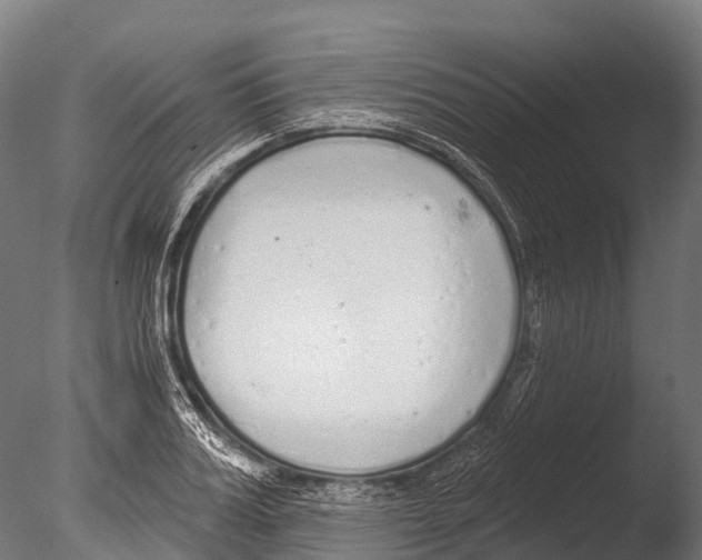 X0000085000987200704021329