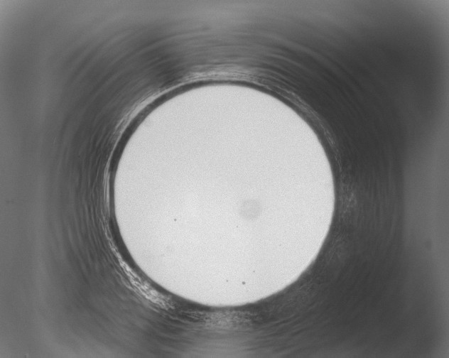 X0000085000988200704021329