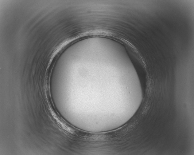 X0000085000989200704021329