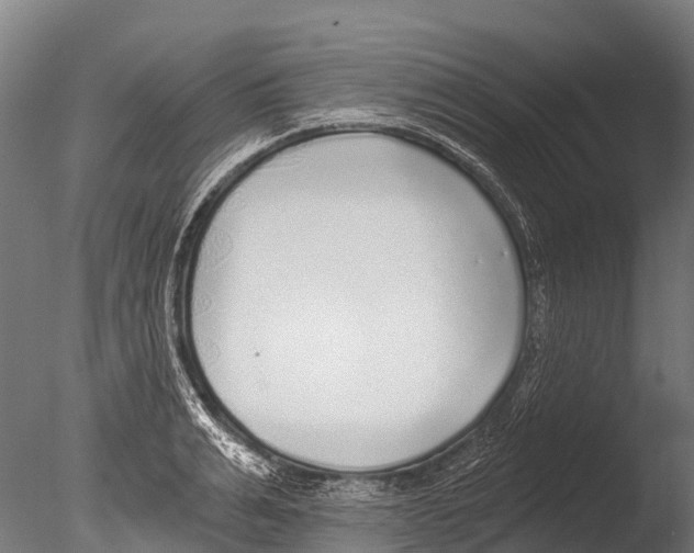 X0000085000991200704021329