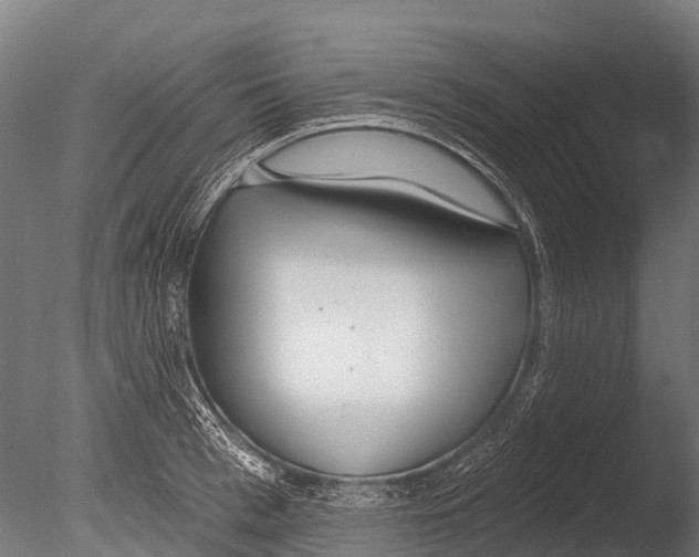 X0000085000993200704021329