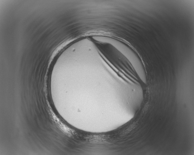 X0000085000995200704021329