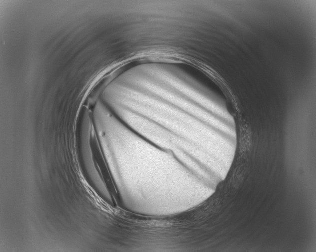 X0000085000996200704021329