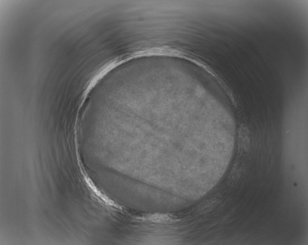 X0000085000998200704021329