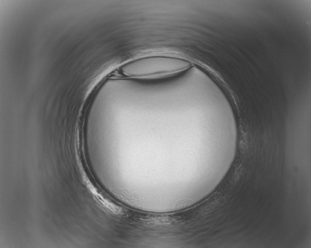 X0000085000999200704021329