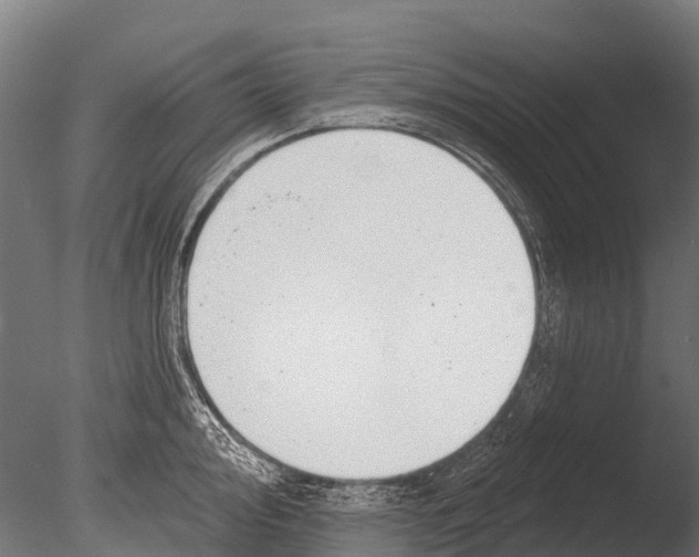 X0000085001000200704021329