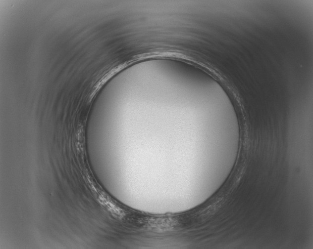 X0000085001001200704021329