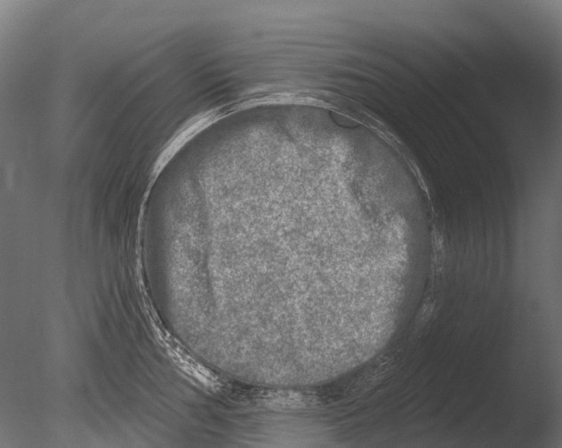 X0000085001002200704021329