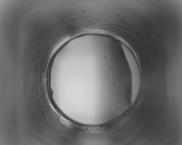 X0000085001007200704021329