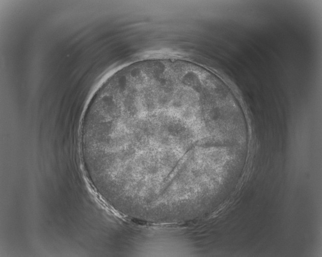 X0000085001008200704021329