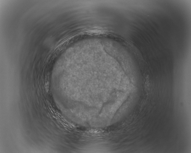 X0000085001015200704021328