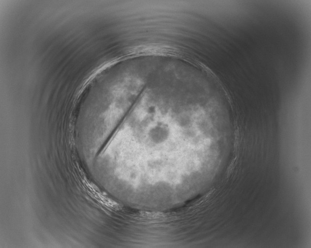 X0000085001019200704021328