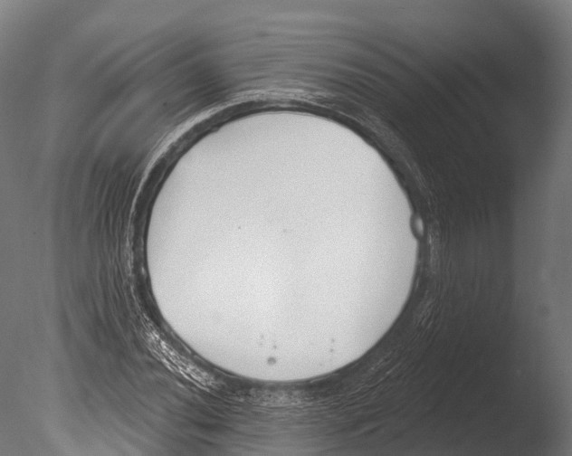 X0000085001020200704021328