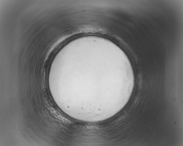 X0000085001021200704021328