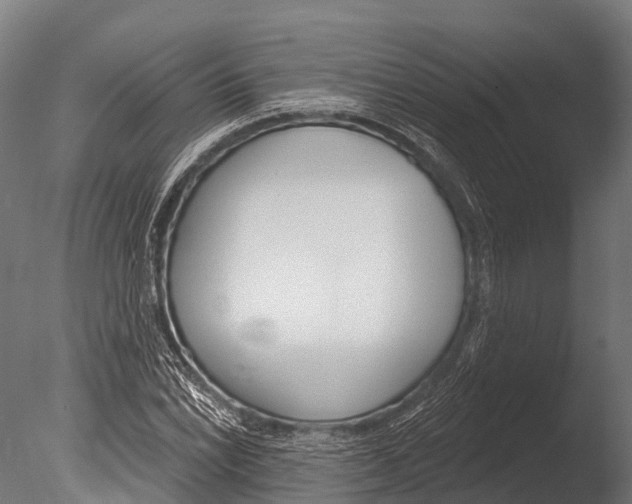 X0000085001022200704021328