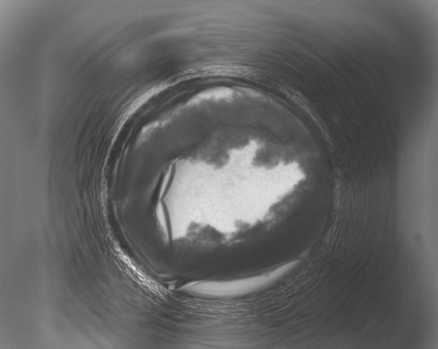 X0000085001024200704021328