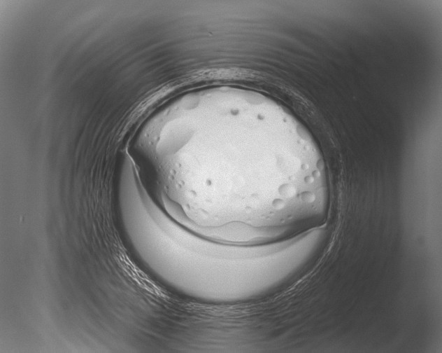 X0000085001025200704021328