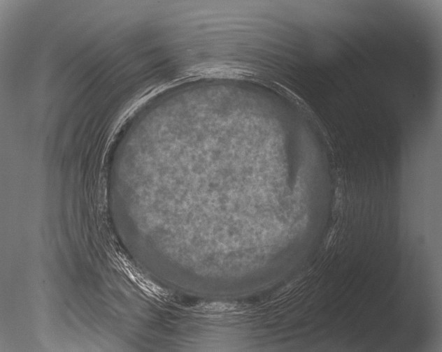 X0000085001027200704021328