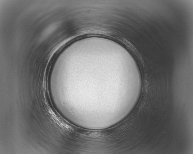 X0000085001028200704021328