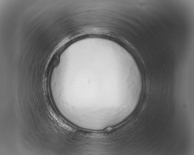 X0000085001029200704021328