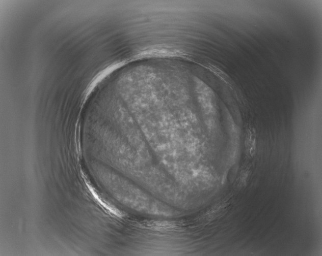 X0000085001030200704021328