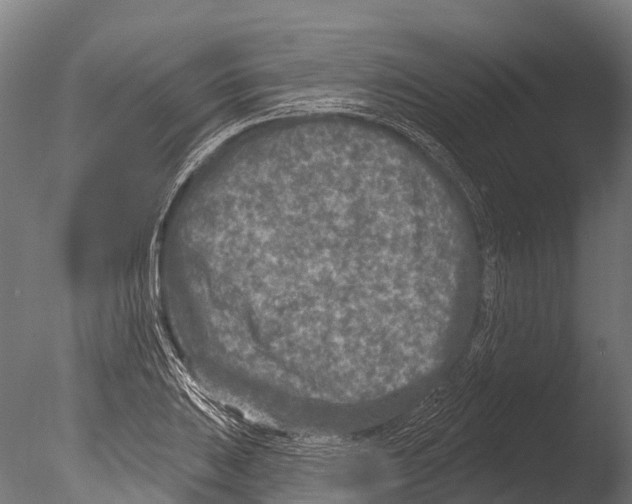 X0000085001031200704021328