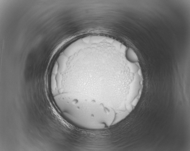 X0000085001032200704021328