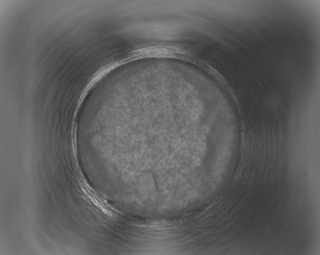 X0000085001035200704021328