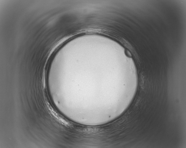 X0000085001036200704021328