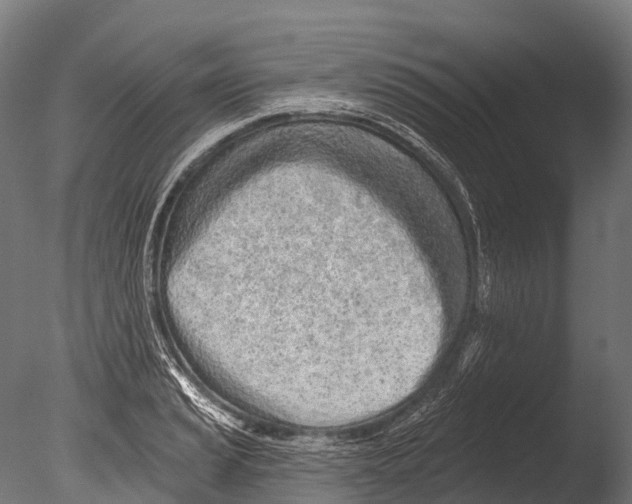 X0000085001037200704021328