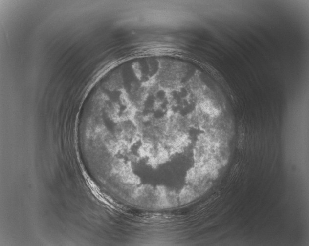 X0000085001039200704021328