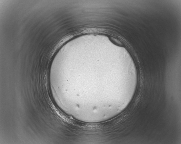 X0000085001041200704021328